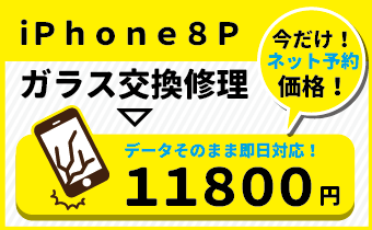 ネット予約価格キャンペーンアイコン8p