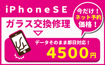 ネット予約価格キャンペーンアイコンse